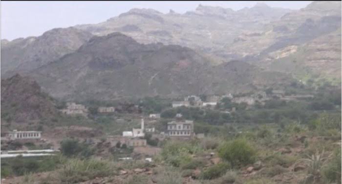 المليشيات الحوثية تقتل مزارعاً مسناً في مزرعته بالضالع