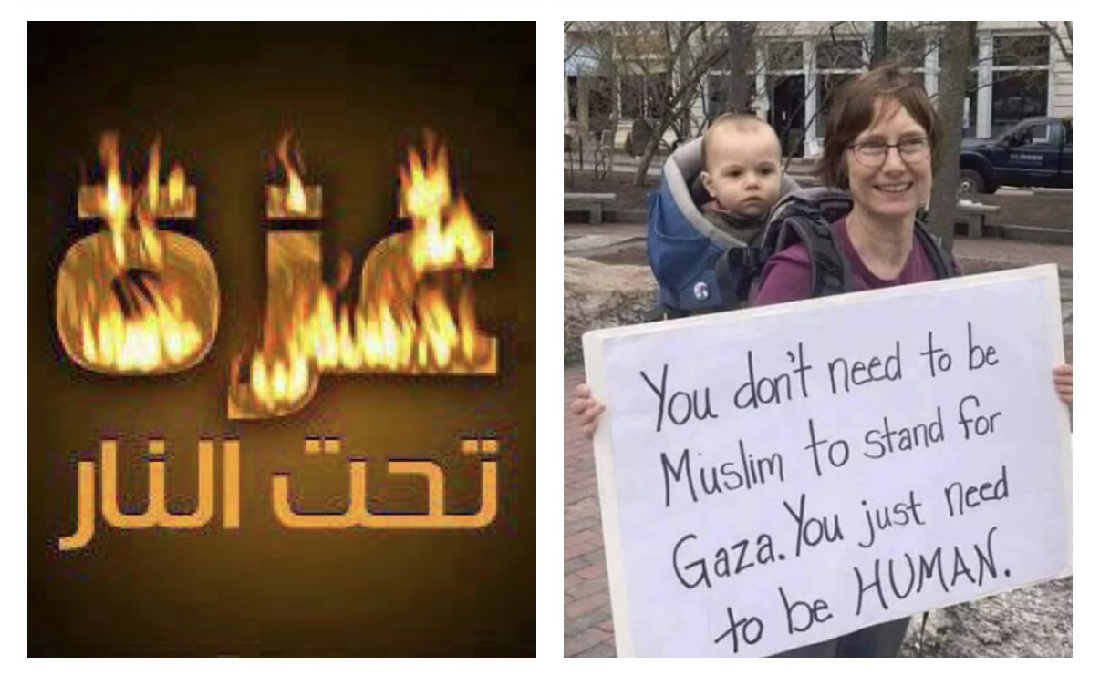 سيدة اجنبية تحمل لافتة كتبت عليها: “ليس بالضرورة أن تكون مسلماً لتقف مع غزة، يكفي أن تكون إنسانا”لا