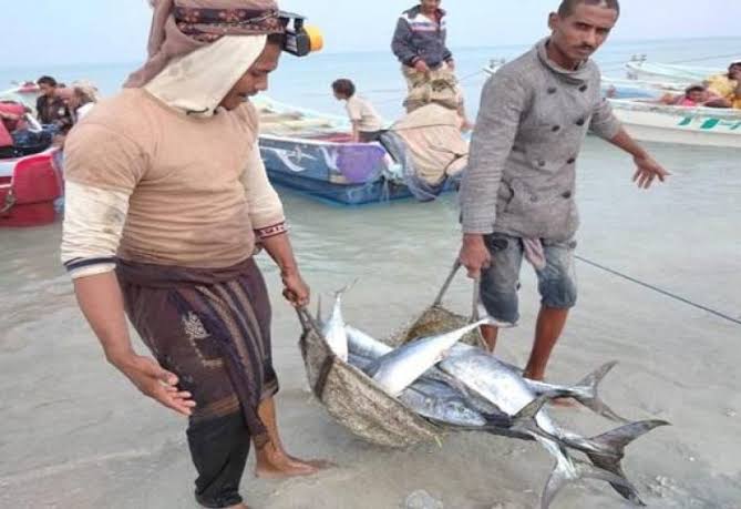 تحقيق- معاناة الصيادين في اليمن تزداد مع تصاعد الهجمات في البحر الأحمر